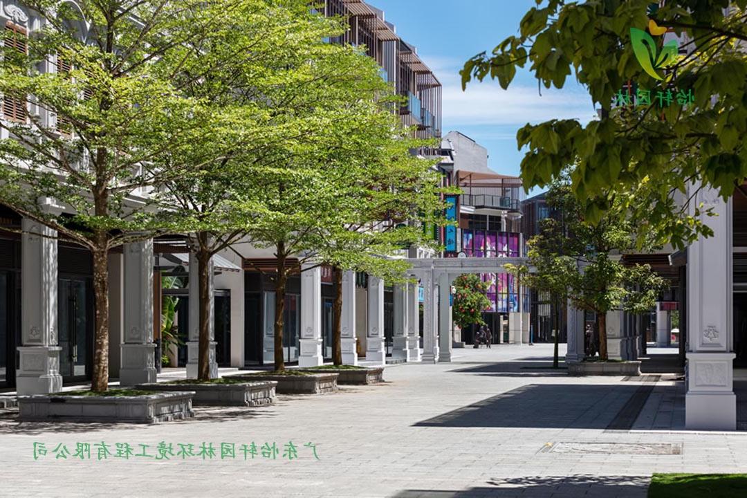 文昌南洋美丽汇商业街欢迎访问十大电子网址实景图
