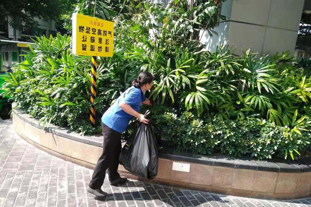 逸翠湾小区绿化养护清理垃圾
